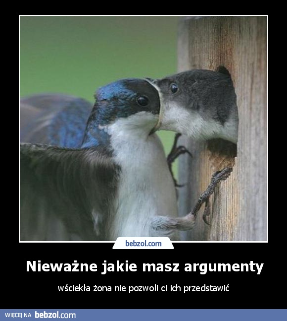 Nieważne jakie masz argumenty