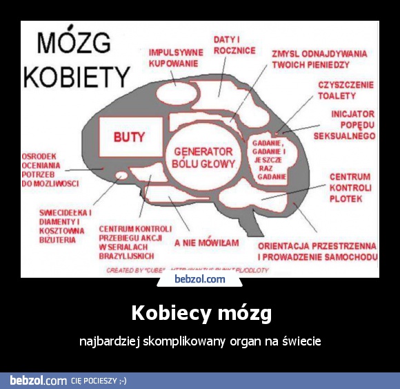 Kobiecy mózg