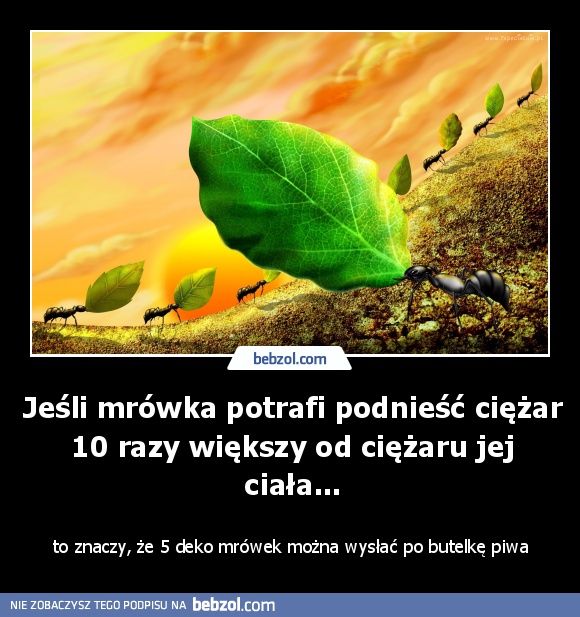 Jeśli mrówka potrafi podnieść ciężar 10 razy większy od ciężaru jej ciała...