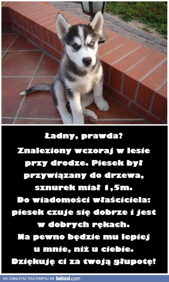 Ludzka głupota nie ma granic...