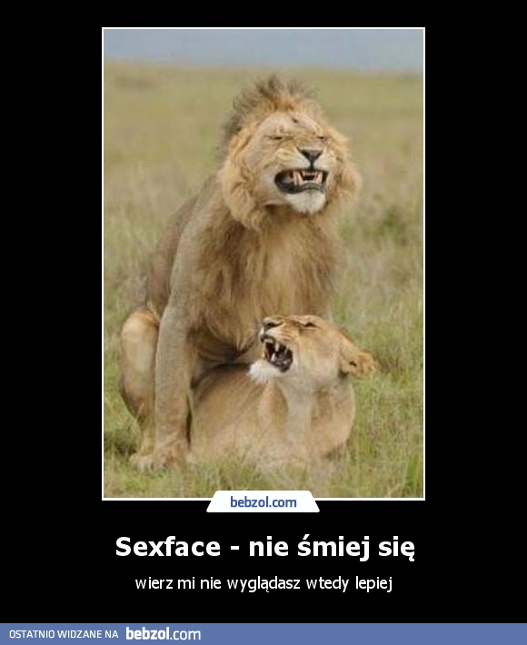 Sexface - nie śmiej się