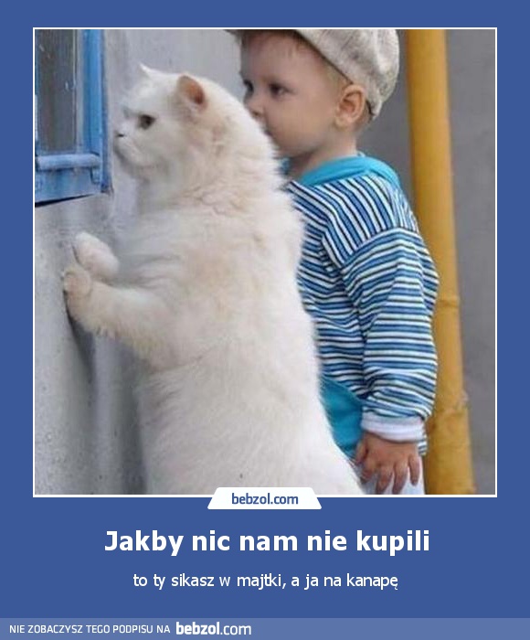 Jakby nic nam nie kupili