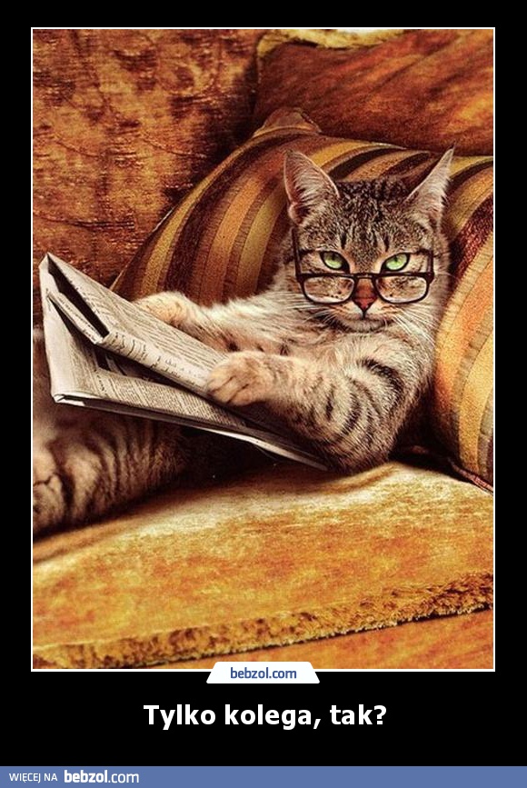 Tylko kolega, tak?