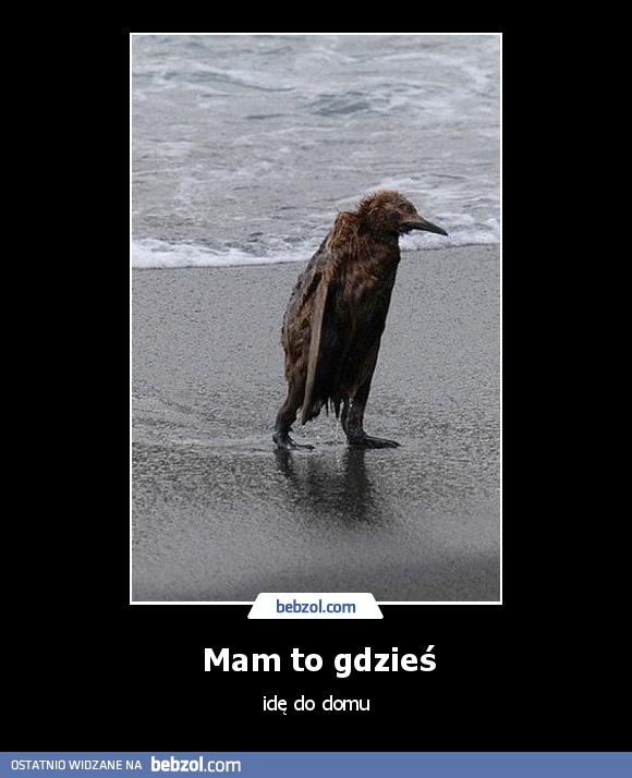 Mam to gdzieś