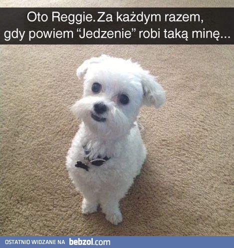 Oto Reggie