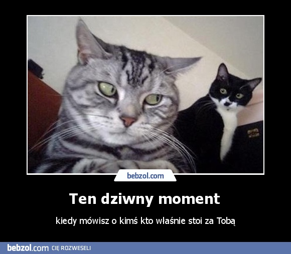 Ten dziwny moment 