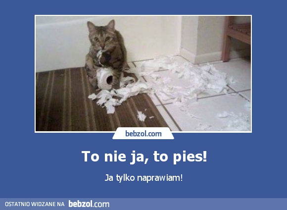 To nie ja, to pies!