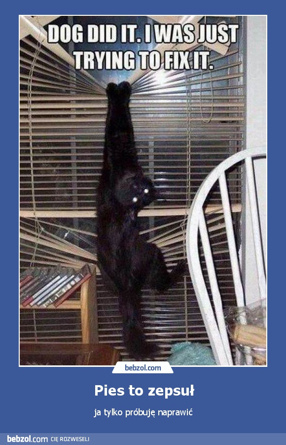 Pies to zepsuł