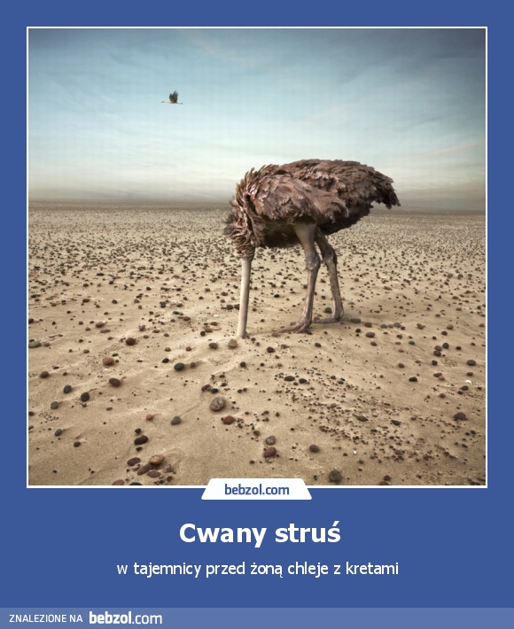 Cwany struś