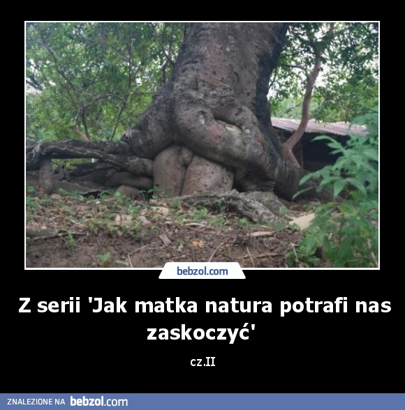 Z serii 'Jak matka natura potrafi nas zaskoczyć' 