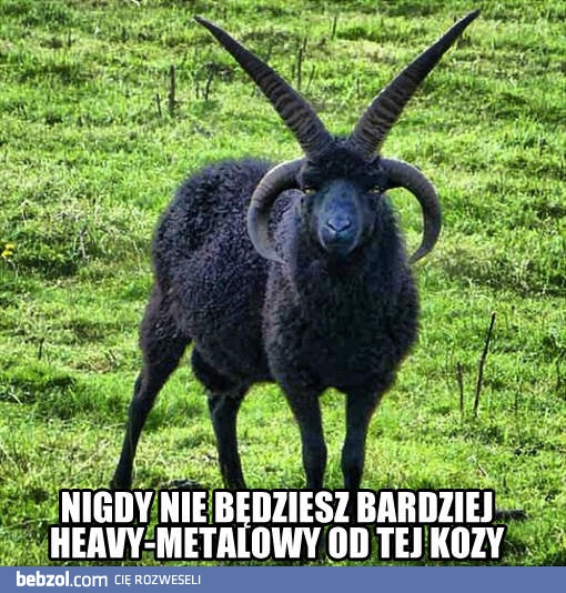 Heavy-metalowa koza
