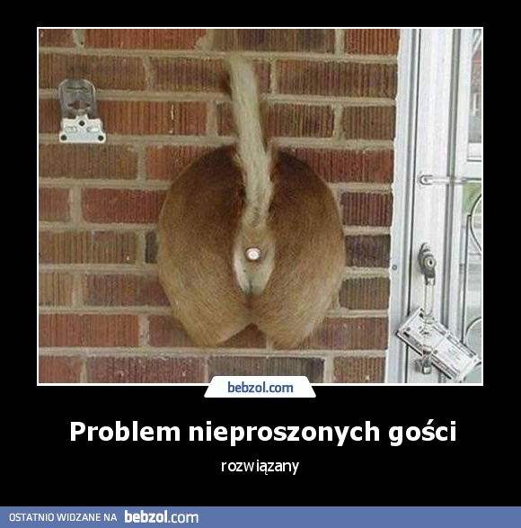 Problem nieproszonych gości