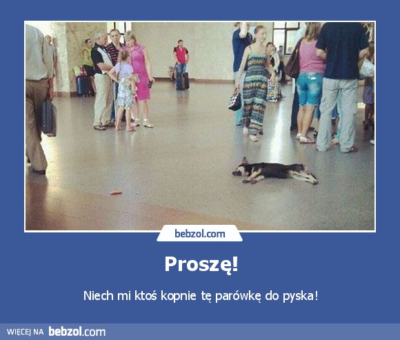 Proszę!