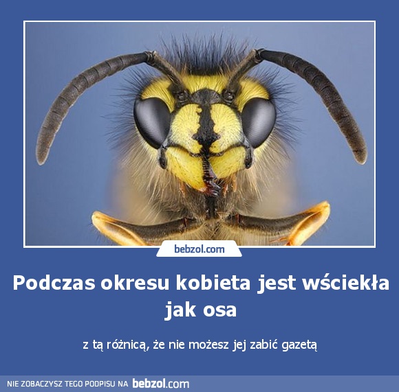 Podczas okresu kobieta jest wściekła jak osa