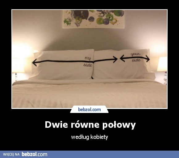 Dwie równe połowy