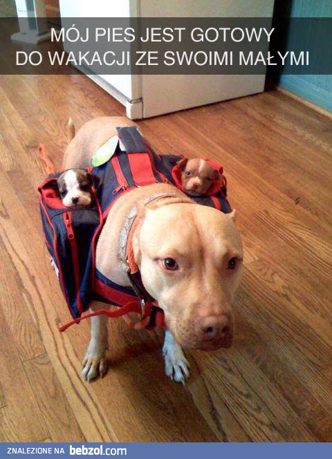 Gotowy do wakacji