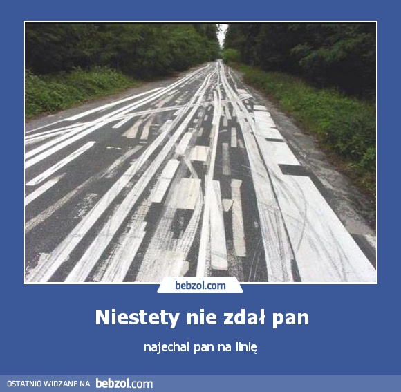 Niestety nie zdał pan