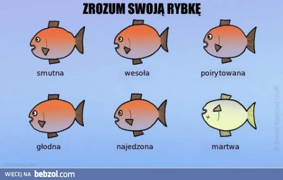 Zrozum swoją rybkę