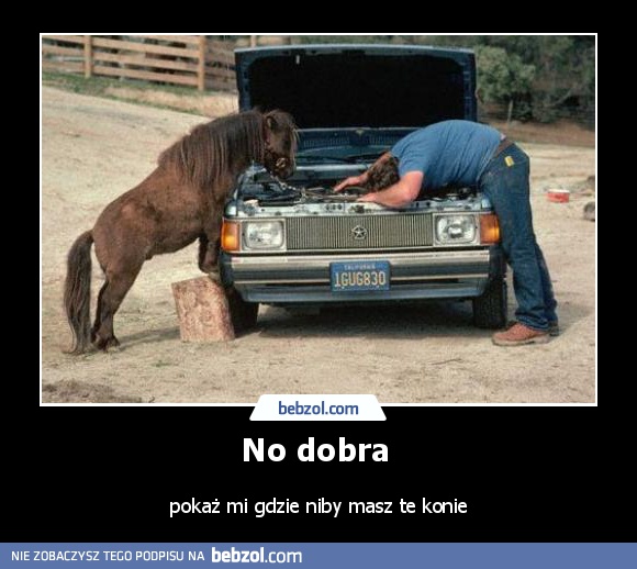 No dobra 