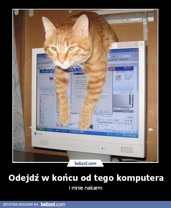 Odejdź w końcu od tego komputera