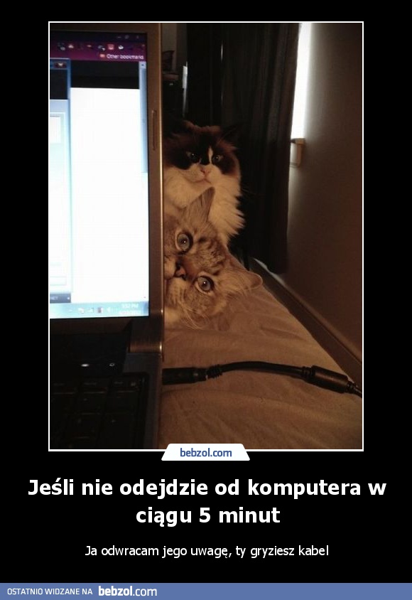 Jeśli nie odejdzie od komputera w ciągu 5 minut