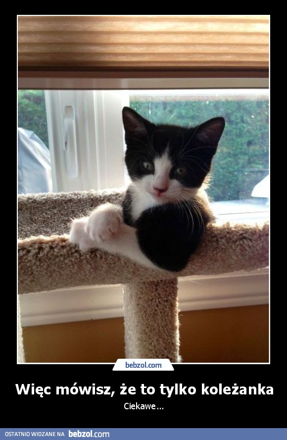 Więc mówisz, że to tylko koleżanka