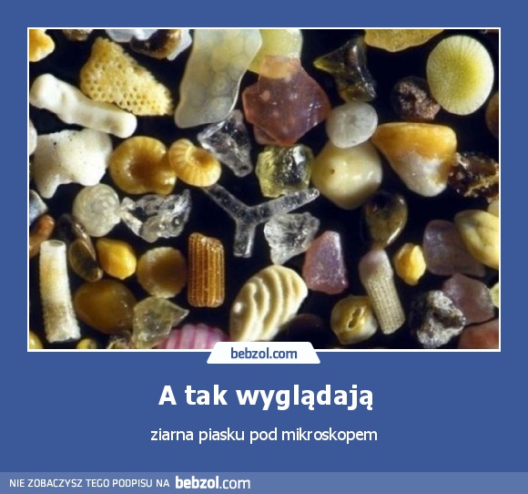 A tak wyglądają