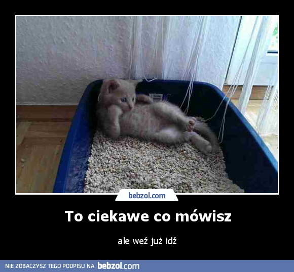 To ciekawe co mówisz