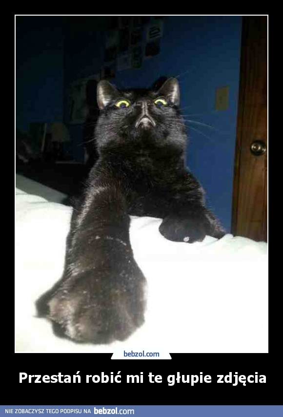Przestań robić mi te głupie zdjęcia