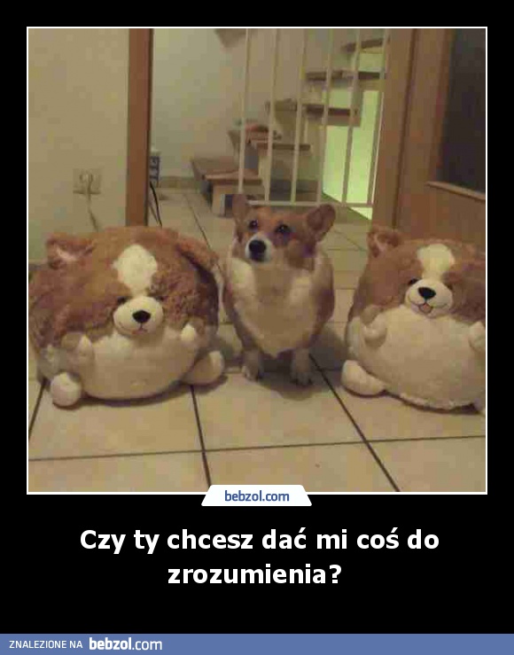 Czy ty chcesz dać mi coś do zrozumienia? 