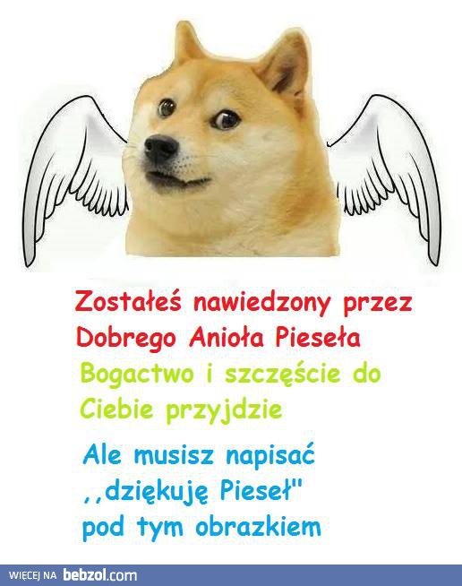 Dobry anioł pieseł