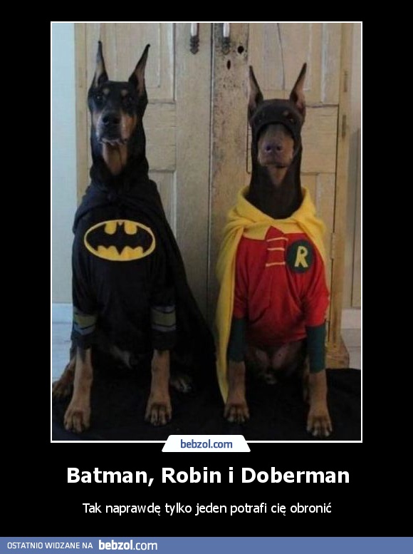 Batman, Robin i Doberman