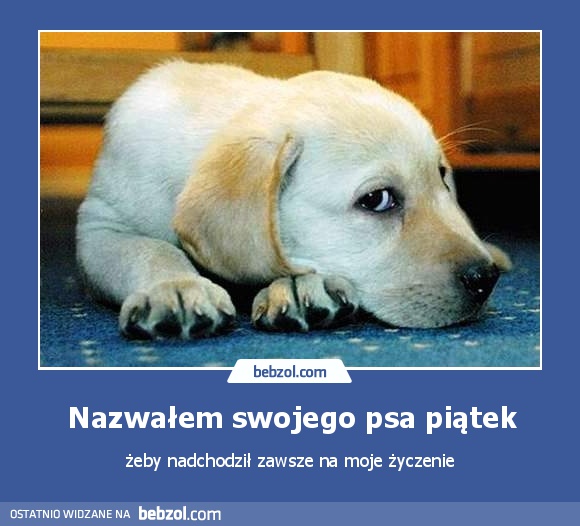 Nazwałem swojego psa piątek