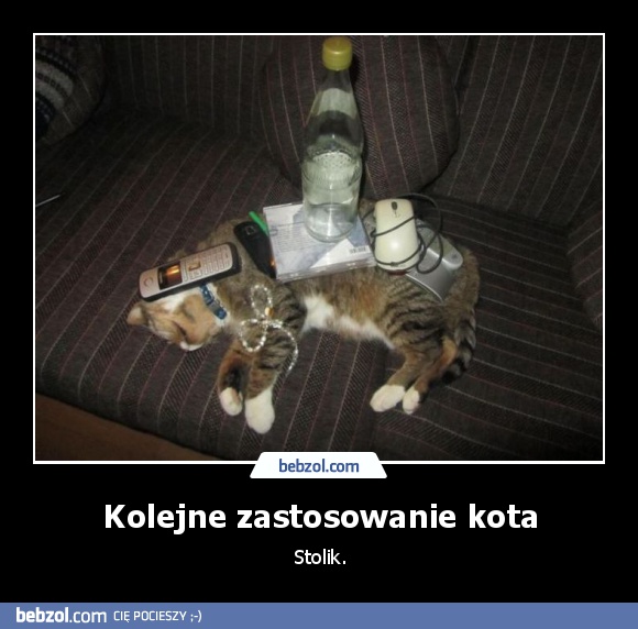 Kolejne zastosowanie kota