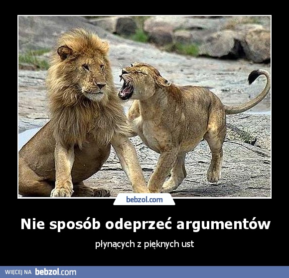 Nie sposób odeprzeć argumentów