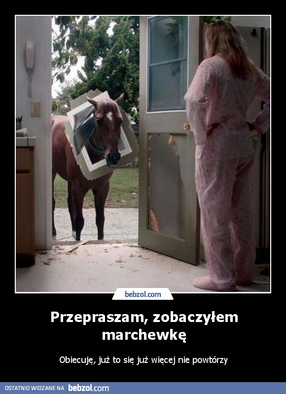 Przepraszam, zobaczyłem marchewkę