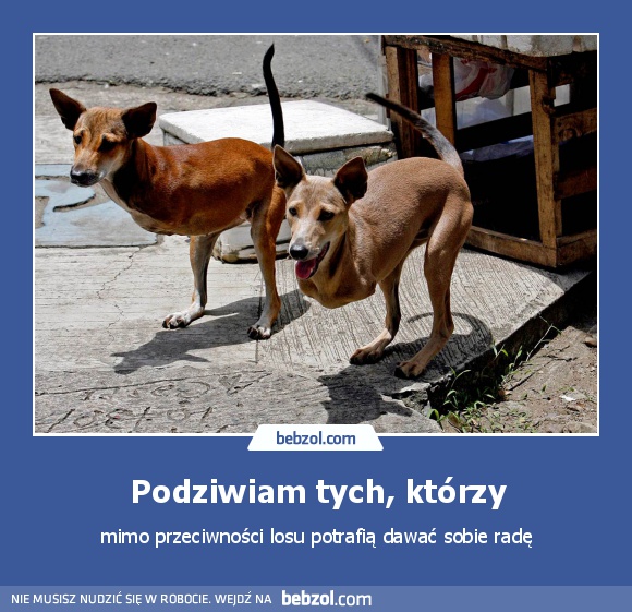 Podziwiam tych, którzy