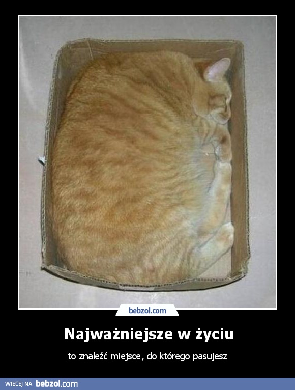 Najważniejsze w życiu