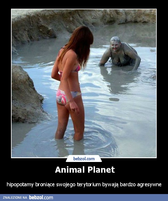 Animal Planet