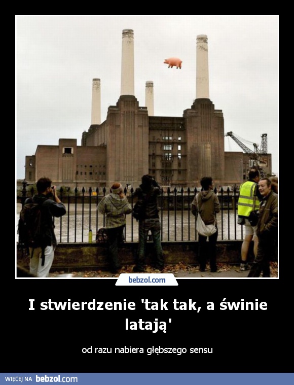 I stwierdzenie 'tak tak, a świnie latają'