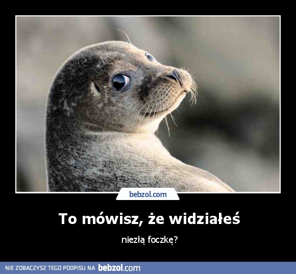 To mówisz, że widziałeś