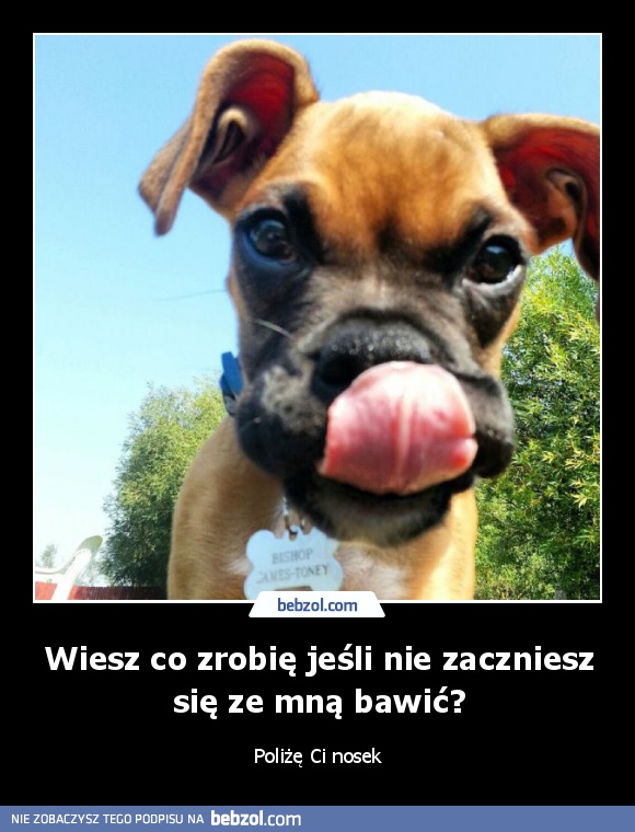 Wiesz co zrobię jeśli nie zaczniesz się ze mną bawić?