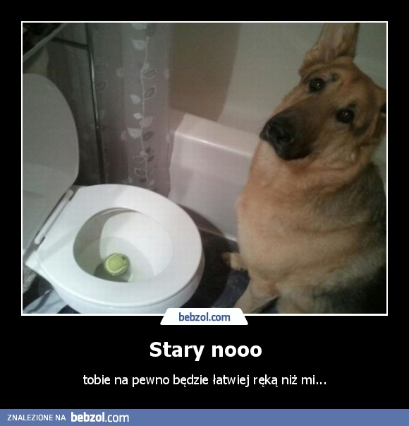 Stary nooo