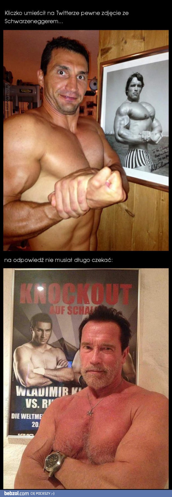 Kliczko vs Schwarzenegger 