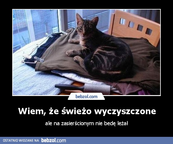 Wiem, że świeżo wyczyszczone