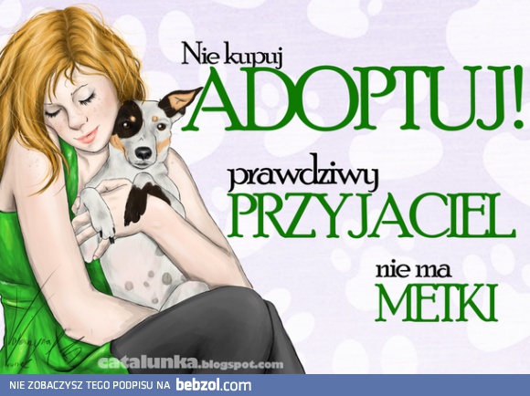Nie kupuj, adoptuj
