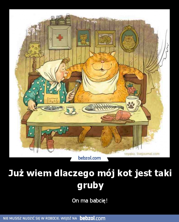 Już wiem dlaczego mój kot jest taki gruby