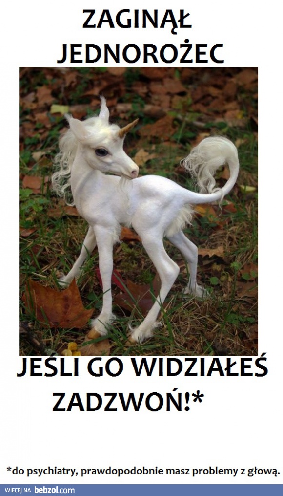 Zaginął jednorożec