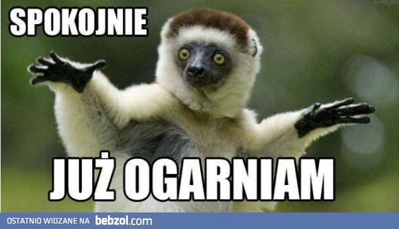 Spokojnie!