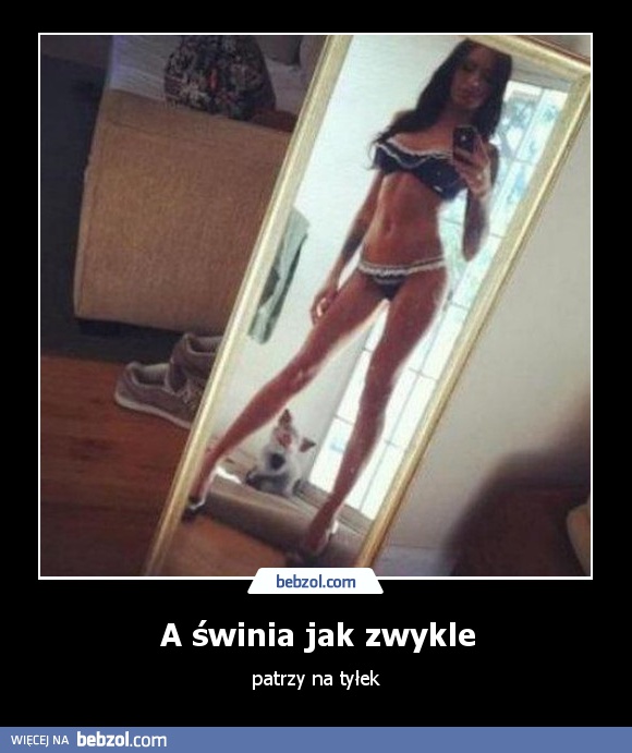 A świnia jak zwykle